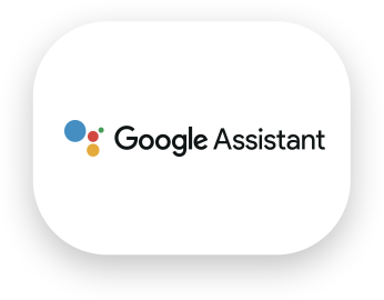 Google Assistant